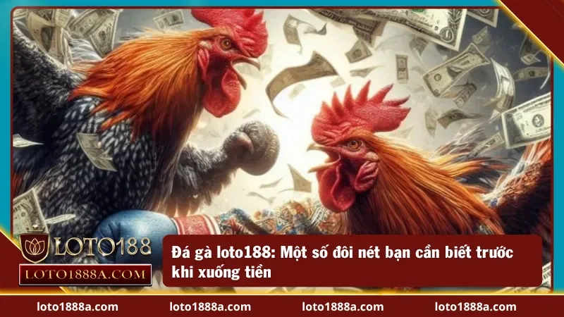 Đá gà loto188: Một số điểm nổi bật làm nên tên tuổi LOTO188