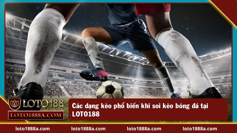 Các loại kèo hot tại LOTO188